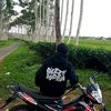 satria_fernandes