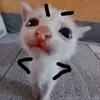 quynhnhhu06
