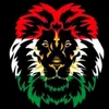rabin_raqib