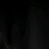 ranialnspo