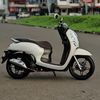 Scoopy.Whiteney