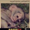 abo.nayif100
