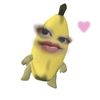 www.stxfn