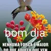 margaridaa00010
