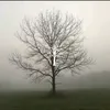 matteo_20hjk