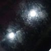 tangzz224