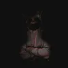 kicaj_19