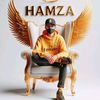 hamzaarain156