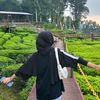 fals_up08