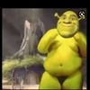 shreks_left_testi