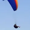 pauloparreira295