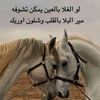 al_rahi1ws