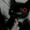 hammad_2910