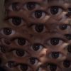 derrik_typeshi