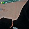 asmaashaheen_