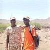 alimed3277