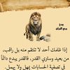 mounirsakouhi215