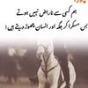 mawazir696