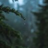 marcpg_06