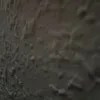 diallodja3