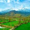 bajaur337