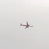ceocamchimno1