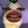 hsrnnablngkd