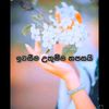 user8112560035487