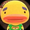 thienphu_veyle