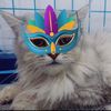 bebybala09