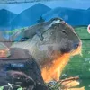 riiiiiiiiicaaaaaaaaaa