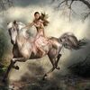 ziad.abu