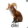 diikyy