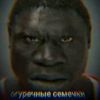 maksim_chiter777