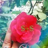 sabashazadi83