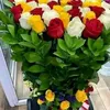 ahmedboughaba860