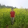 thachpham0417