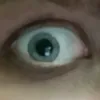 kashelstellsa