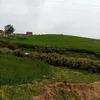 bouazzaelmadkori