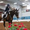 horsemom4ever