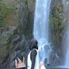nzwaahnfaa