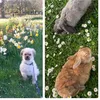 fluffy.luna.coockie