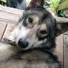 mercilessmama21
