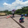nguyn.puan.phu
