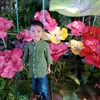 raihan623