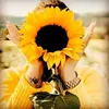 girasol0278