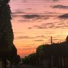 elizin_17