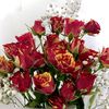 rowan987b