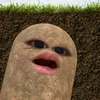 hanhhap_.0