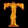 terryt319